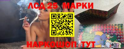 гидропоника Дубна