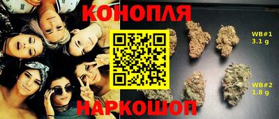 гидропоника Дубна