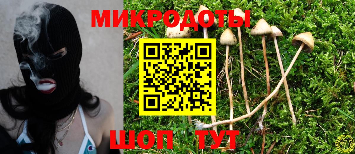 Псилоцибиновые грибы Cubensis  Вход с VPN  Псилоцибиновые грибы прущие грибы  закладка  Магадан 